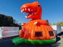 ﾃｨﾗﾉﾄﾞｰﾑ