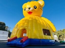 ﾀｲｶﾞｰﾄﾞｰﾑ