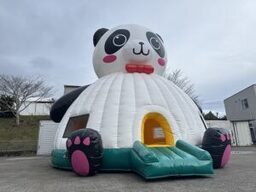 ﾊﾟﾝﾀﾞﾄﾞｰﾑ2